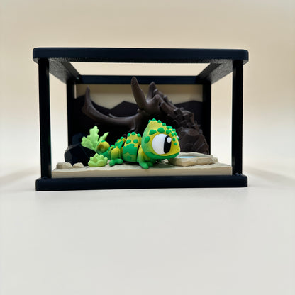 Terrarium