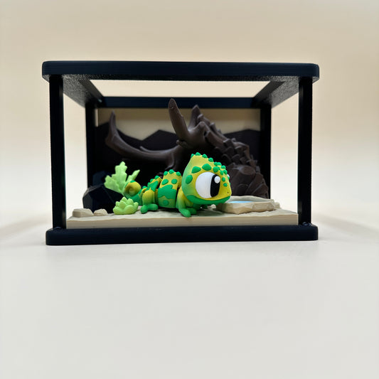 Terrarium